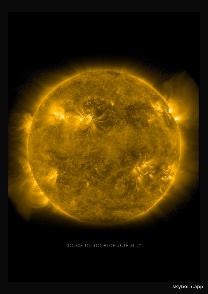 The Sun on 29 January 2022