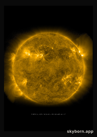 The Sun on 29 January 2022