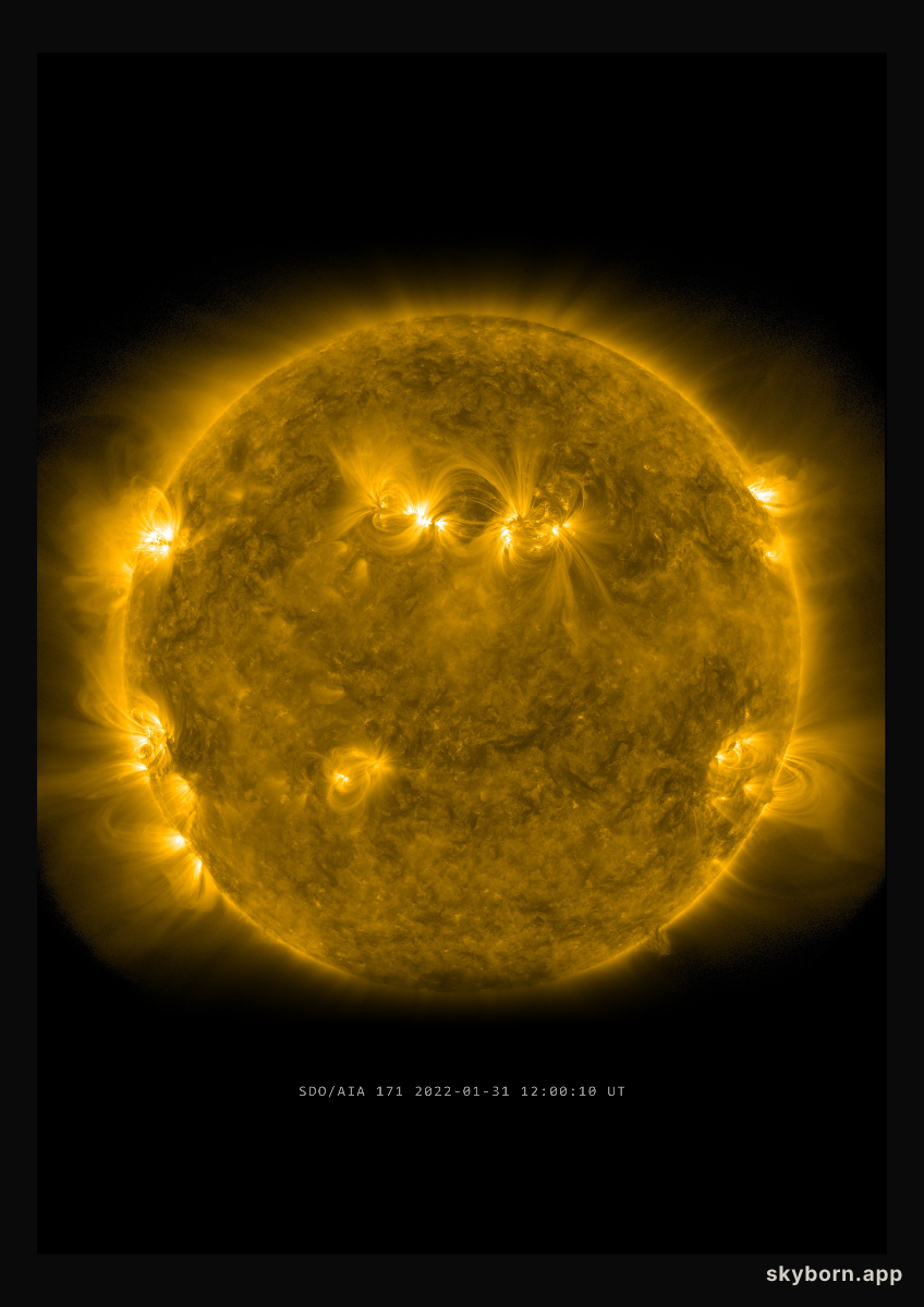 The Sun on 31 January 2022