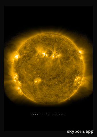 The Sun on 31 January 2022
