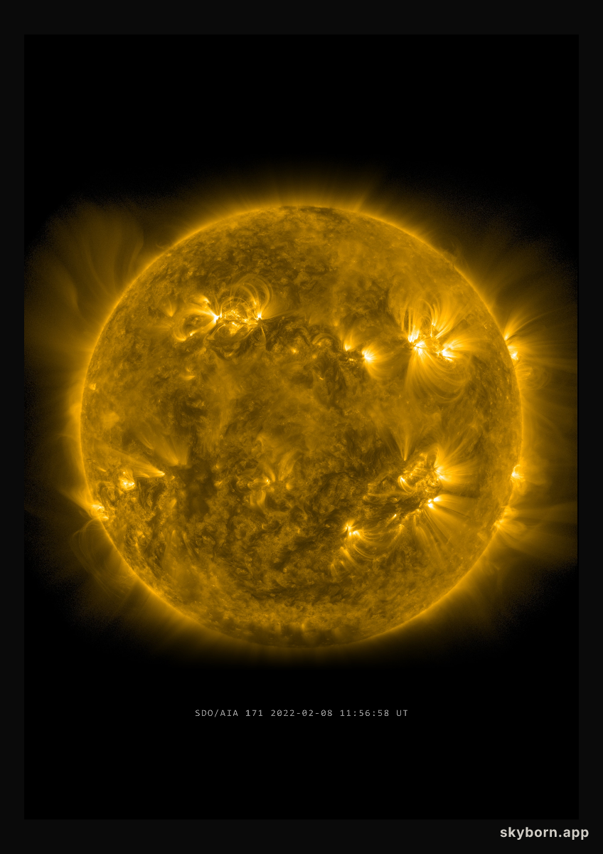 The Sun on 8 February 2022