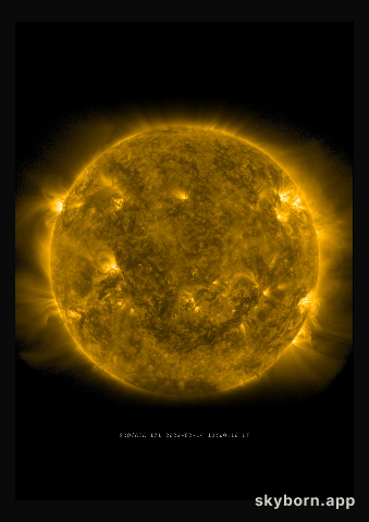 The Sun on 14 February 2022