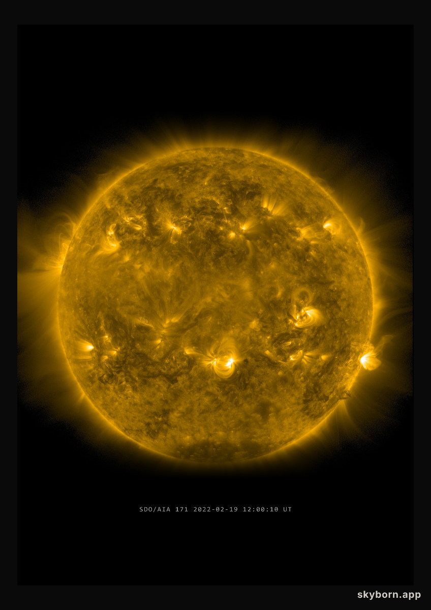The Sun on 19 February 2022