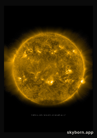The Sun on 19 February 2022