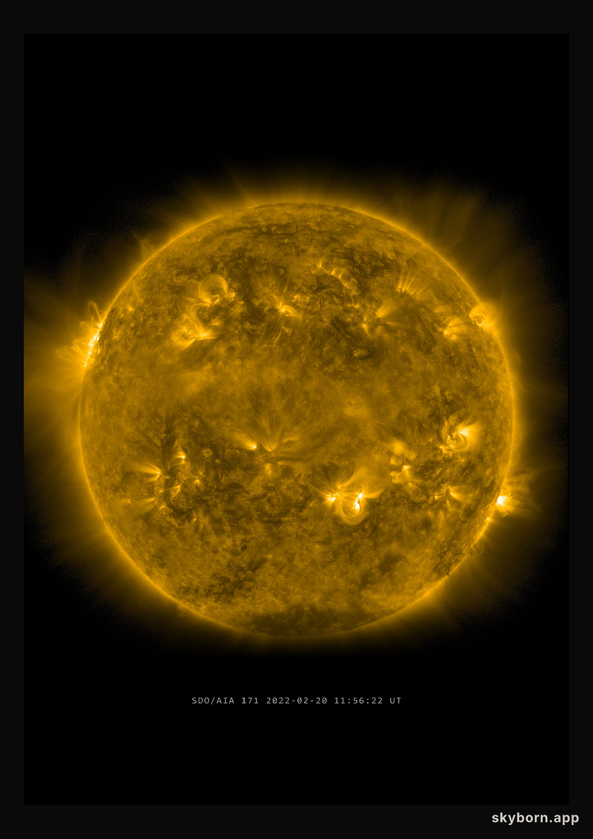 The Sun on 20 February 2022