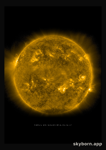 The Sun on 20 February 2022