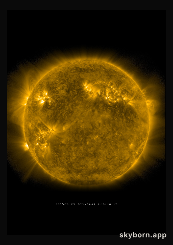 The Sun on 1 March 2022
