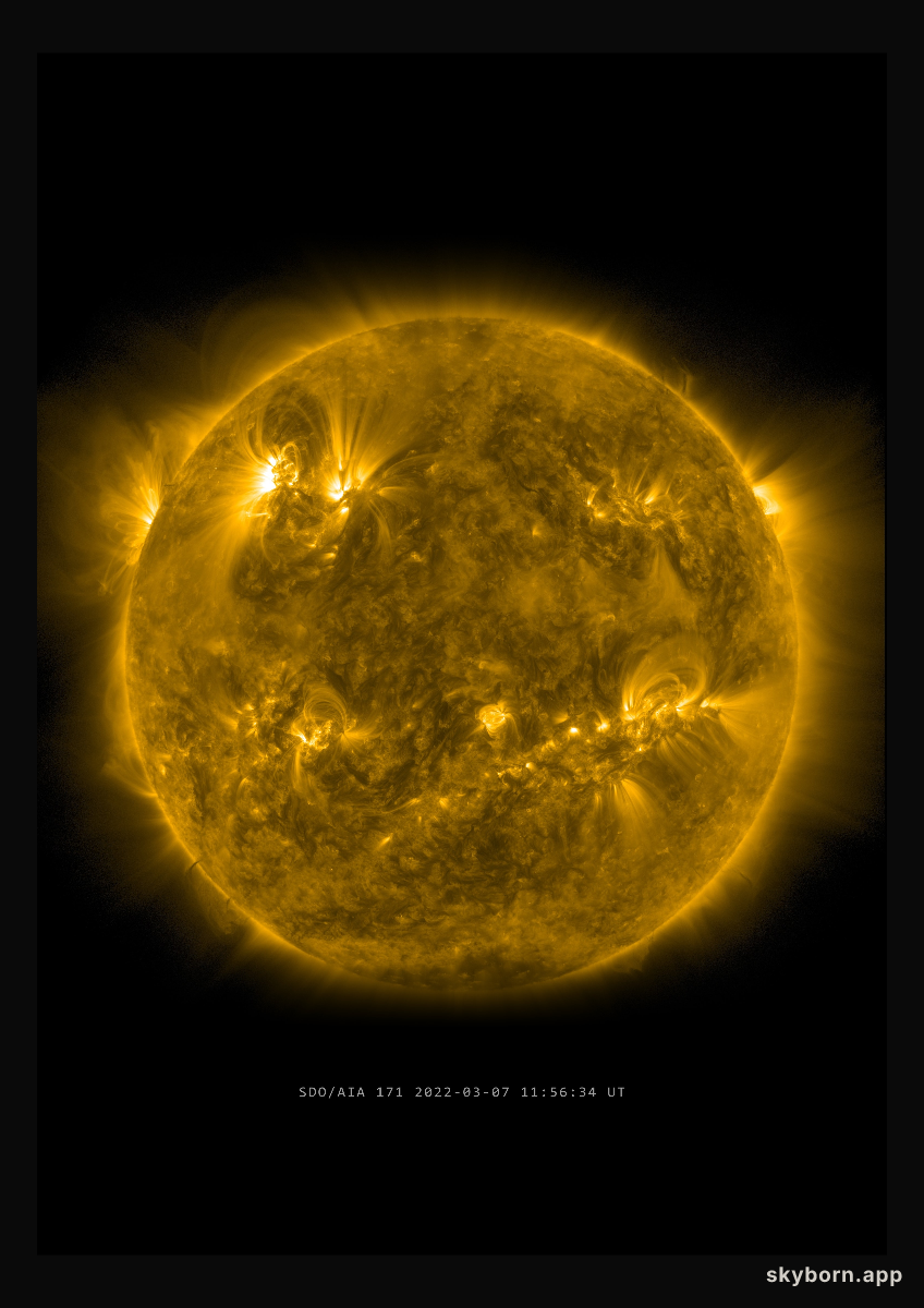 The Sun on 7 March 2022