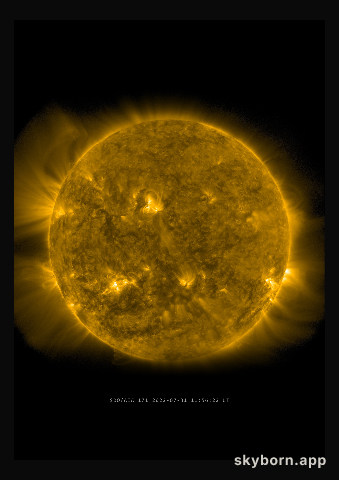 The Sun on 31 July 2022