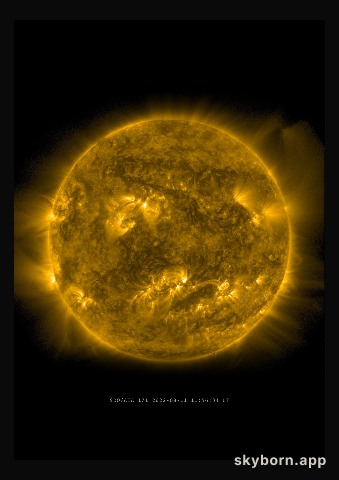 The Sun on 11 August 2022