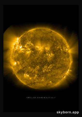 The Sun on 31 October 2022
