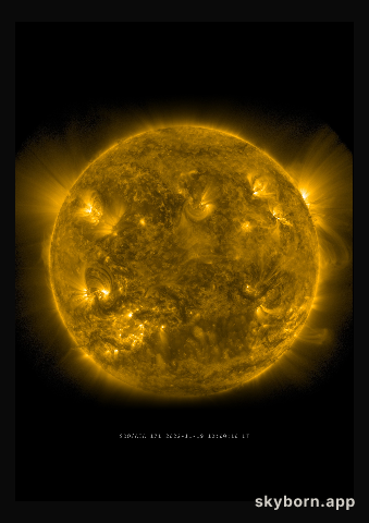 The Sun on 19 November 2022
