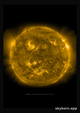 The Sun on 21 November 2022