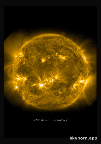 The Sun on 11 January 2023