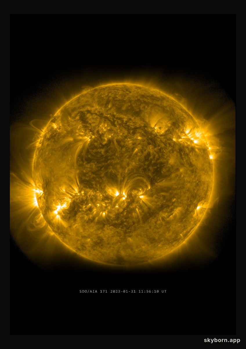 The Sun on 31 January 2023
