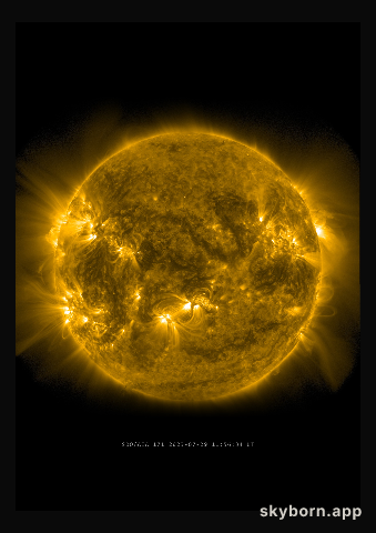 The Sun on 29 July 2023