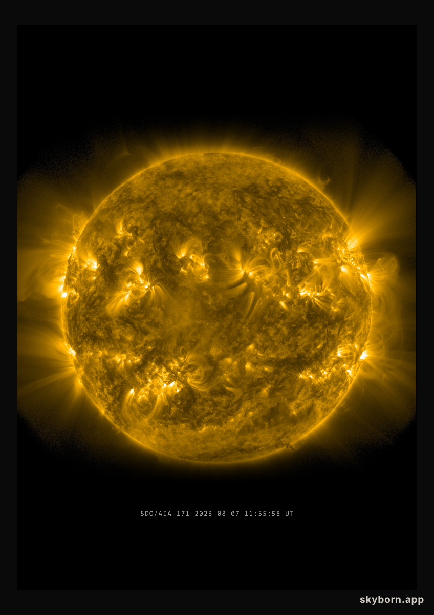 The Sun on 7 August 2023