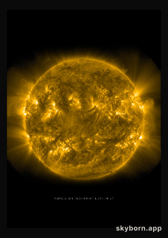 The Sun on 7 August 2023