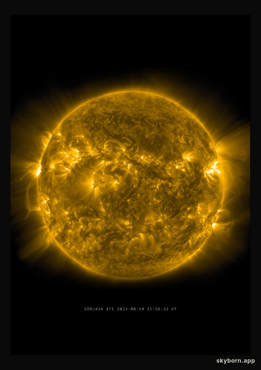 The Sun on 14 August 2023