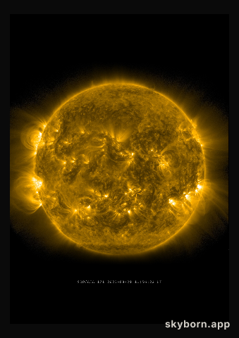 The Sun on 29 August 2023