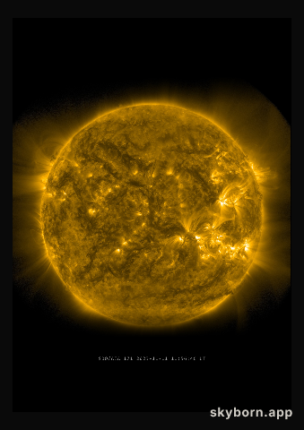 The Sun on 11 November 2023