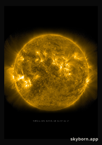 The Sun on 8 January 2024