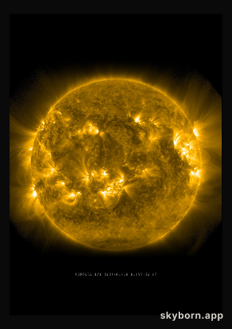 The Sun on 11 January 2024
