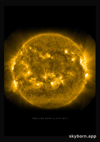 The Sun on 12 January 2024