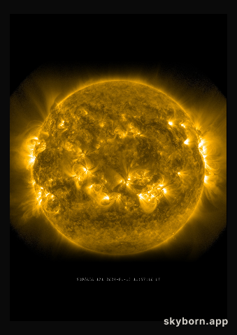 The Sun on 13 January 2024