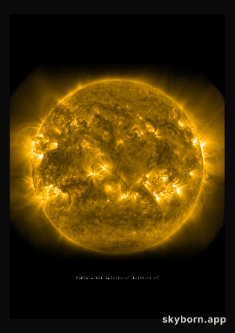 The Sun on 14 January 2024