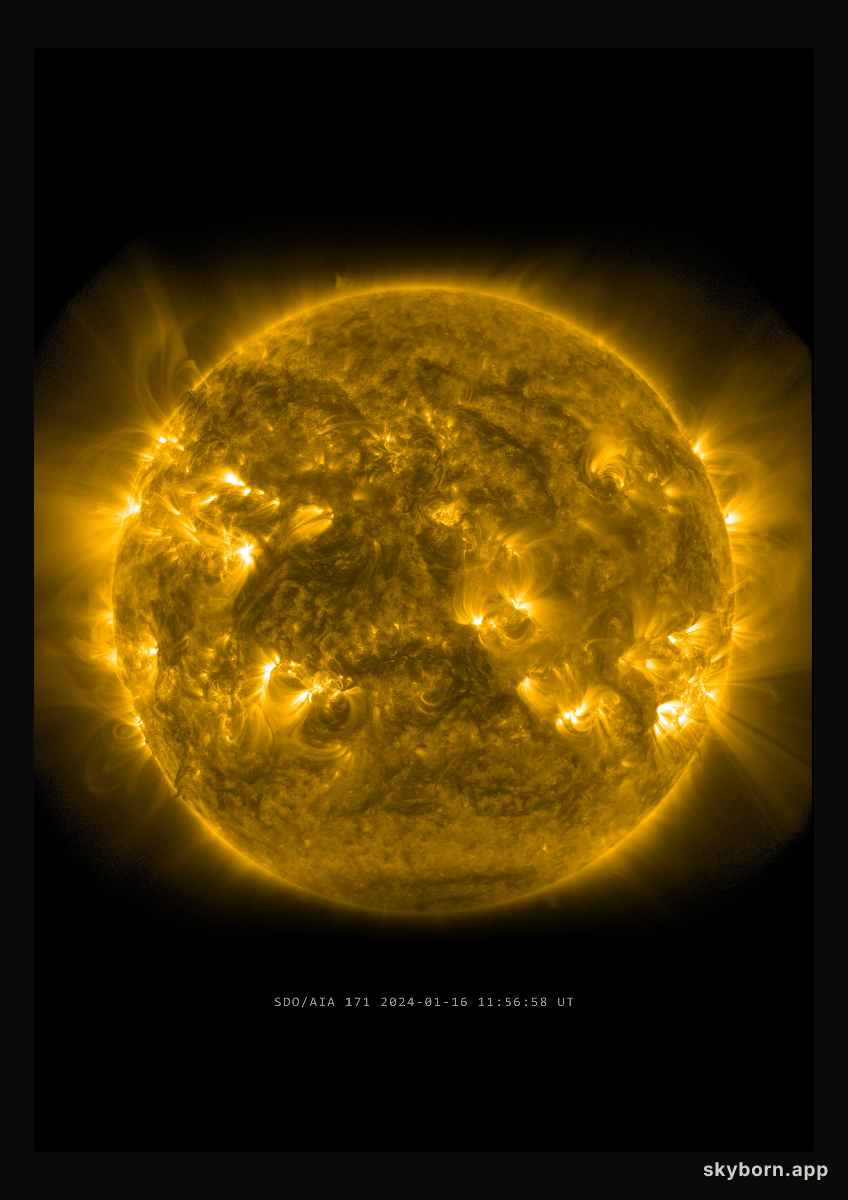 The Sun on 16 January 2024