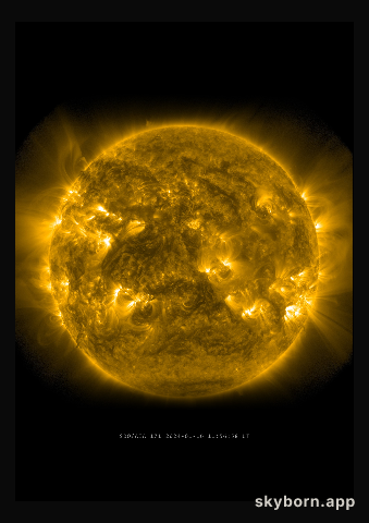 The Sun on 16 January 2024