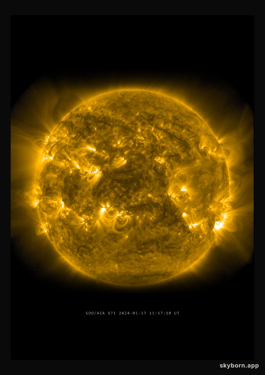 The Sun on 17 January 2024