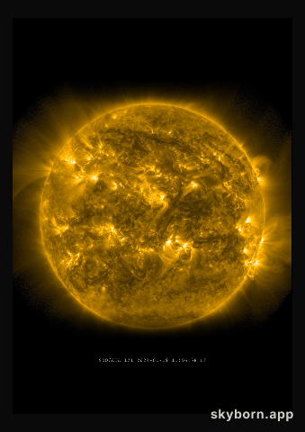 The Sun on 19 January 2024