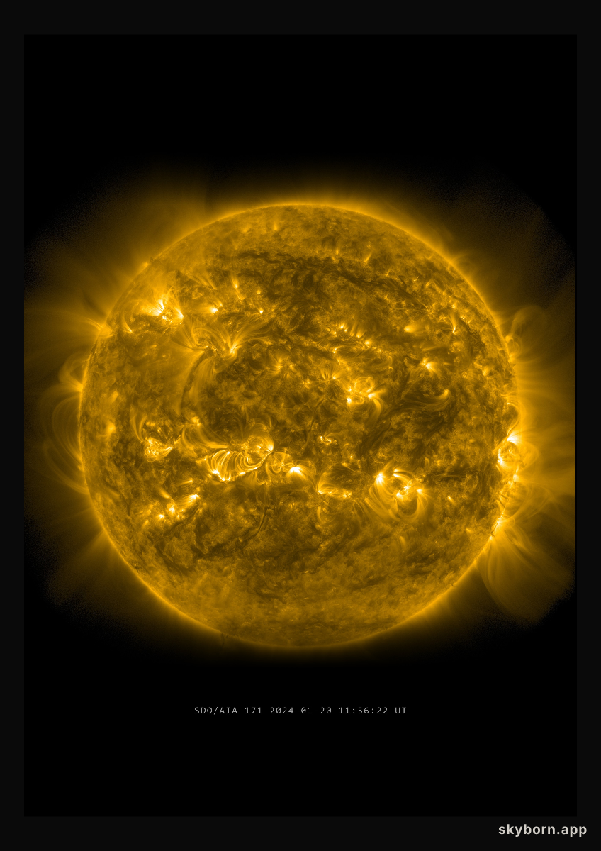 The Sun on 20 January 2024