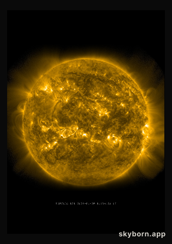 The Sun on 20 January 2024