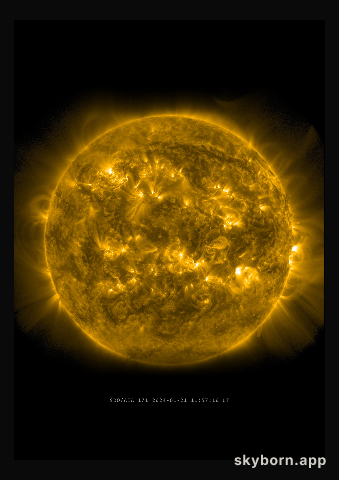 The Sun on 21 January 2024