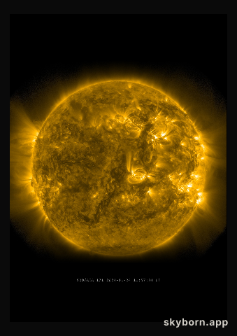 The Sun on 24 January 2024