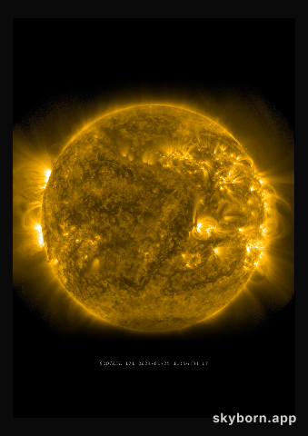 The Sun on 25 January 2024
