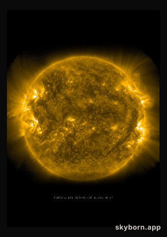 The Sun on 28 January 2024