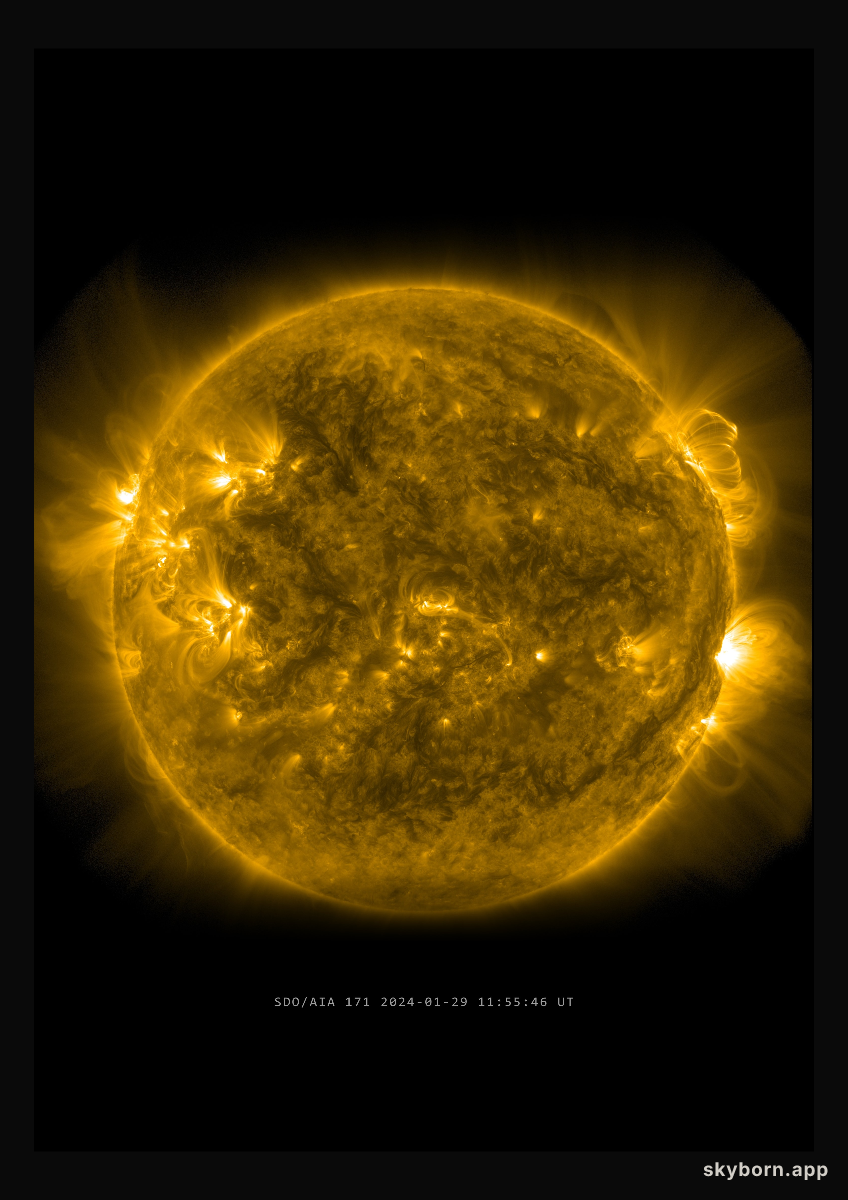 The Sun on 29 January 2024