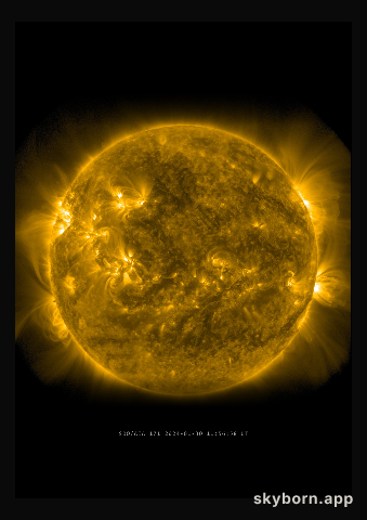 The Sun on 30 January 2024