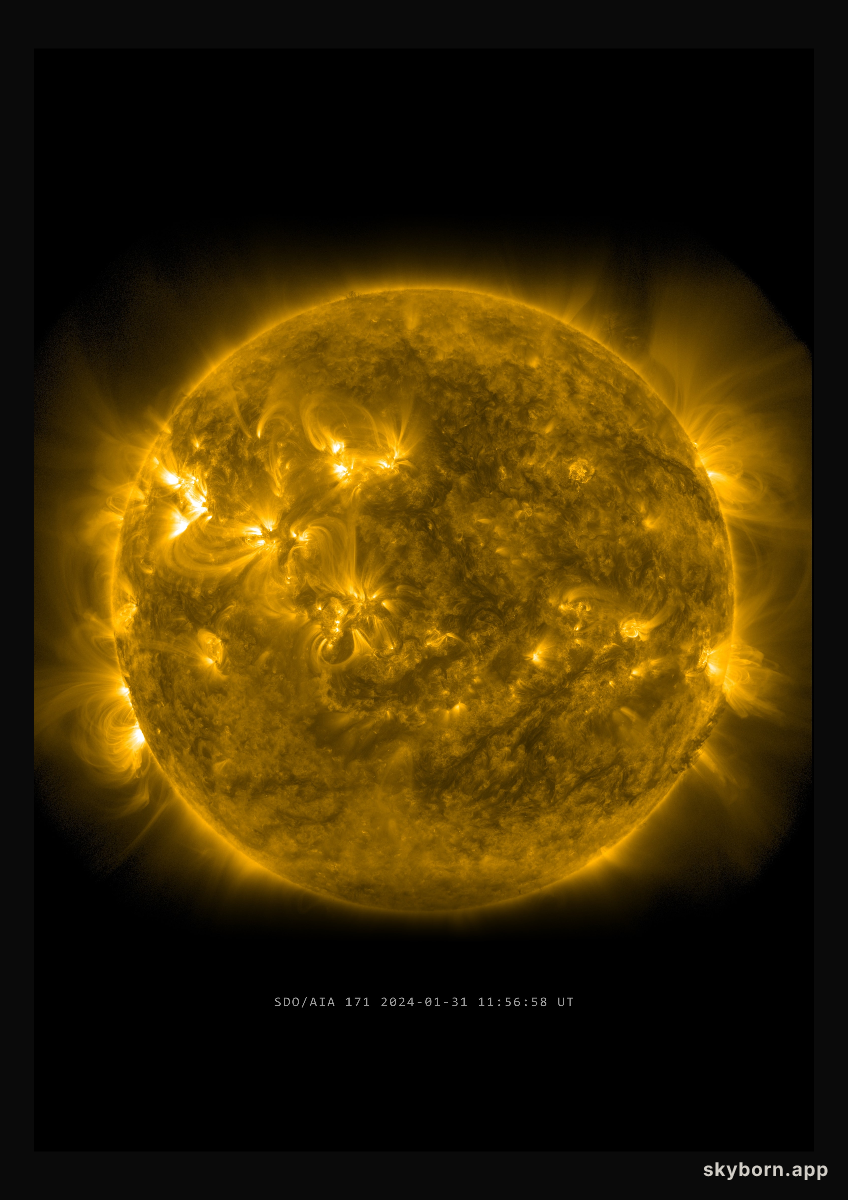 The Sun on 31 January 2024