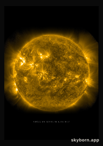 The Sun on 31 January 2024