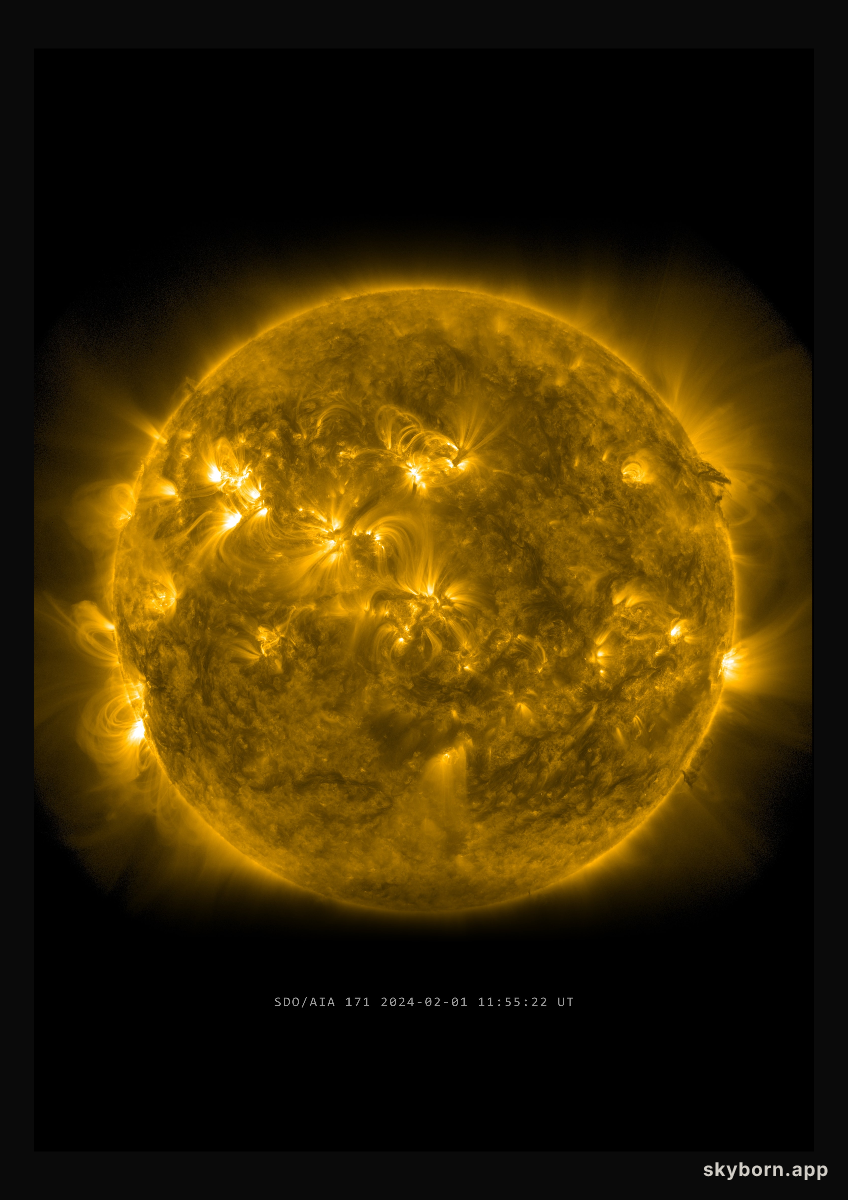The Sun on 1 February 2024