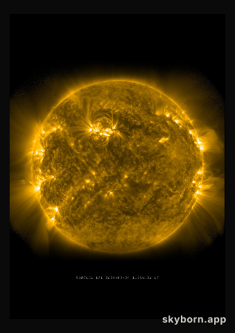 The Sun on 24 February 2024