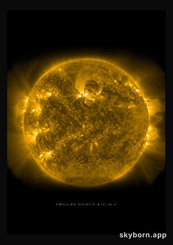 The Sun on 25 February 2024