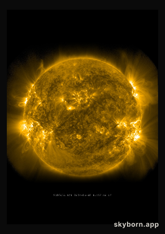 The Sun on 8 June 2024