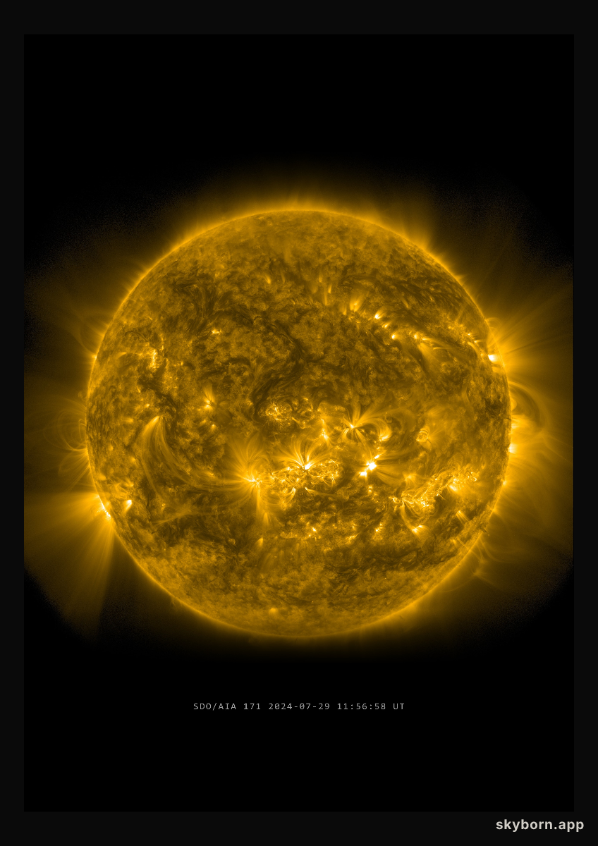 The Sun on 29 July 2024