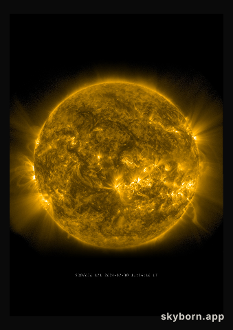 The Sun on 30 July 2024